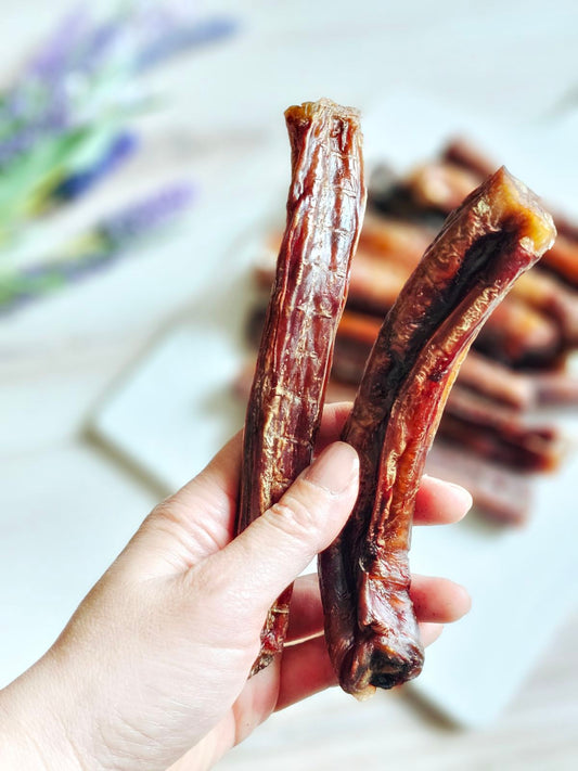 Beef Pizzle (Sticks, Loops, Short,