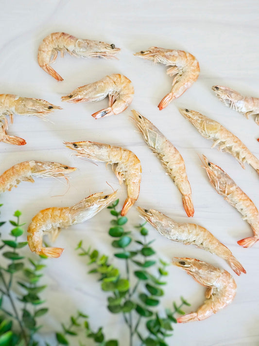 Shrimp (+Freeze Dried Options)