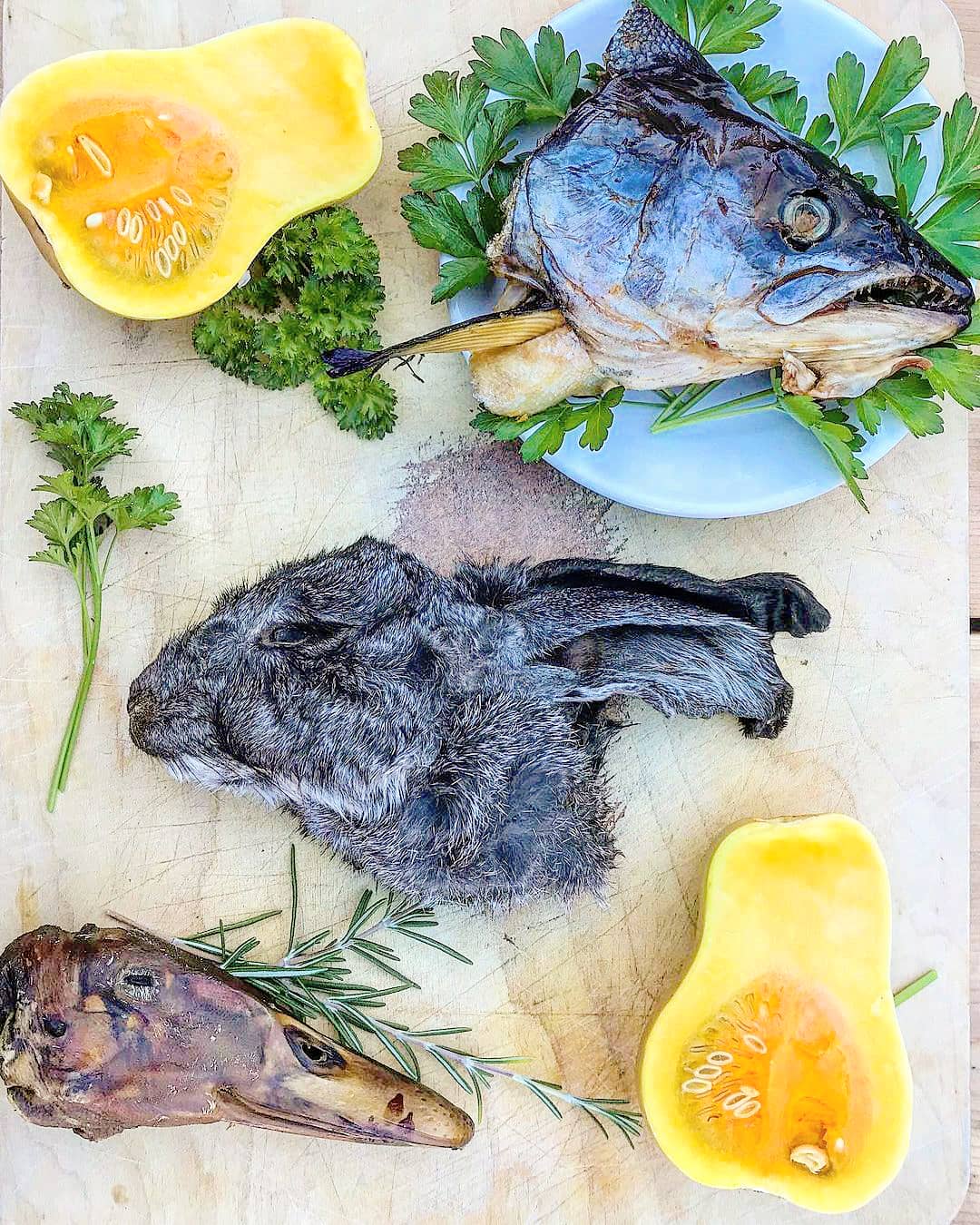 Duck Heads (ABF)