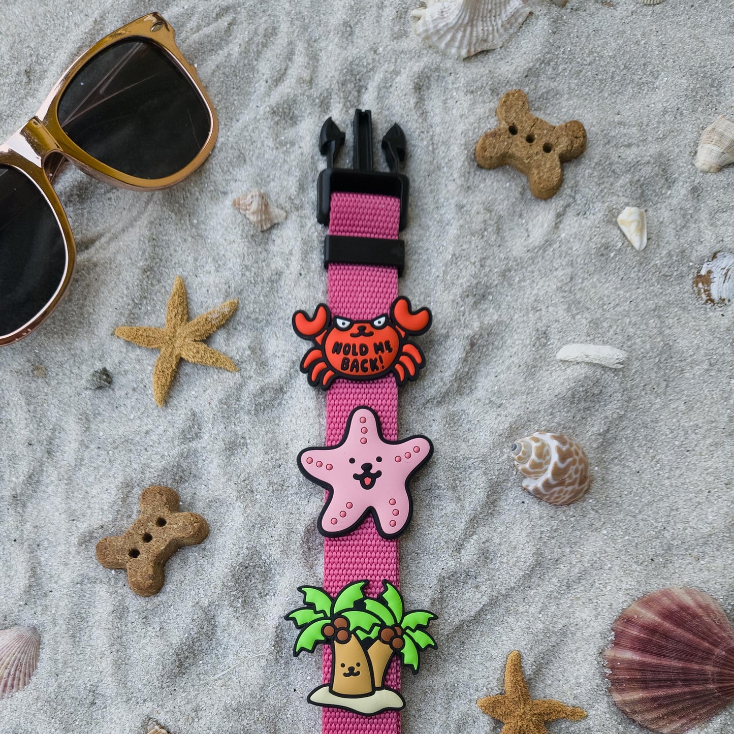 Starfish Dog Jiby