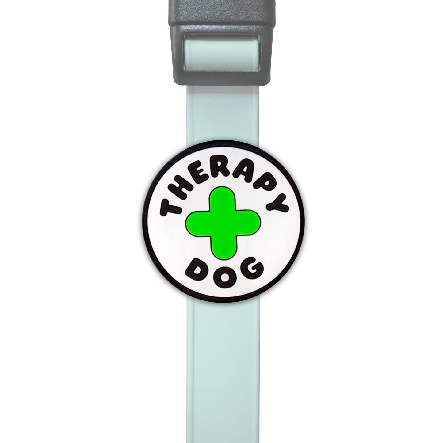 Therapy Dog Jiby