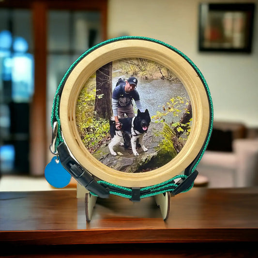 Medium Dog Collar Frame | "The Beagle"