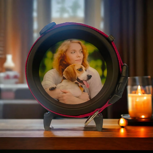 Medium Dog Collar Frame and Stand Bundle | "The Beagle"