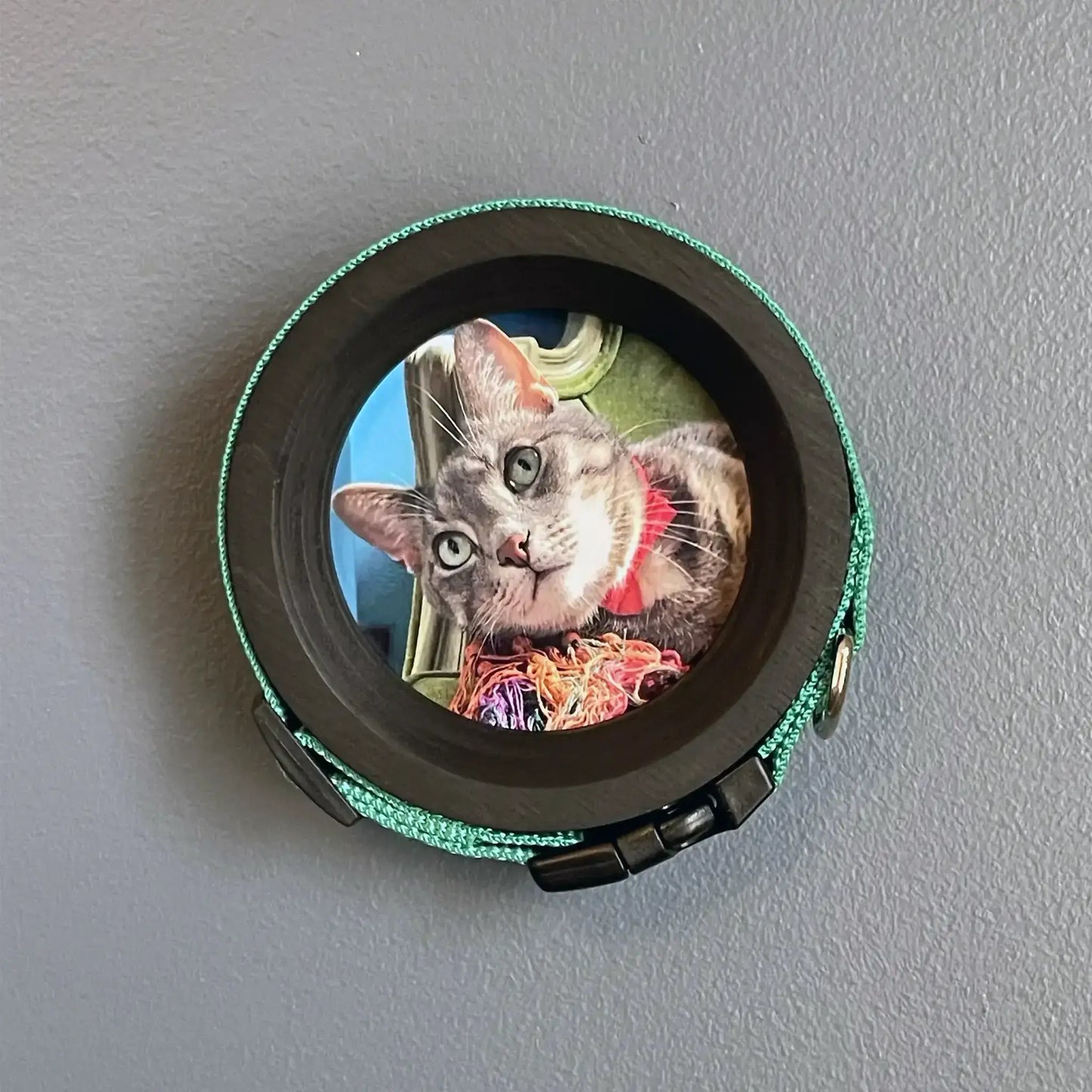 Cat Collar Frame |"The Garfield"