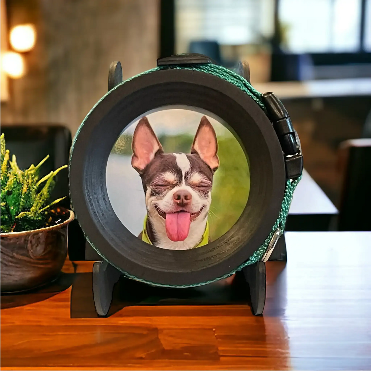Extra Wide Dog Collar Frame