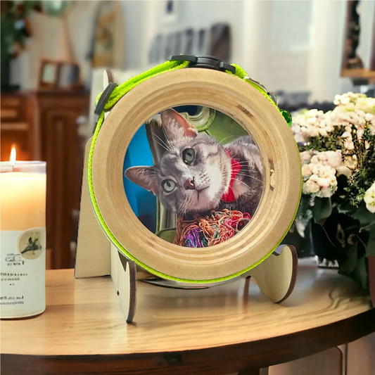 Cat Collar Frame |"The Garfield"