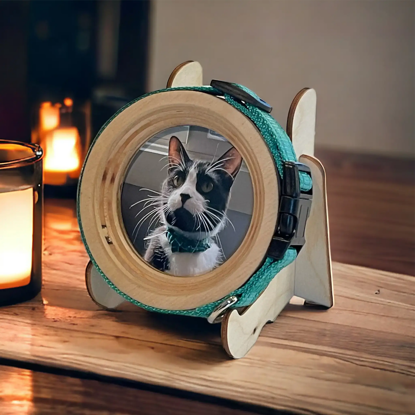 Cat Collar Frame |"The Garfield"