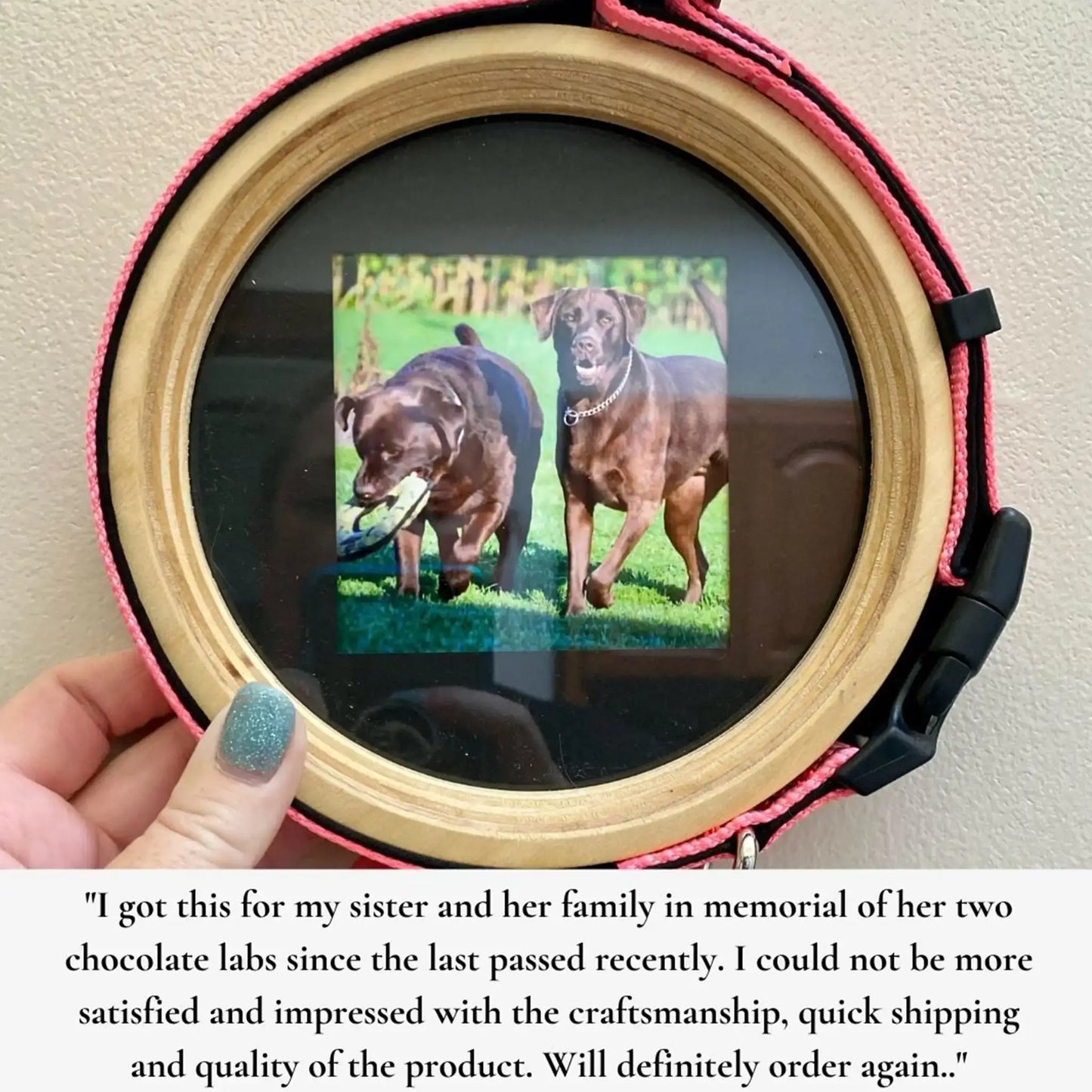 Extra Large Dog Collar Frame | "The Great Dane"