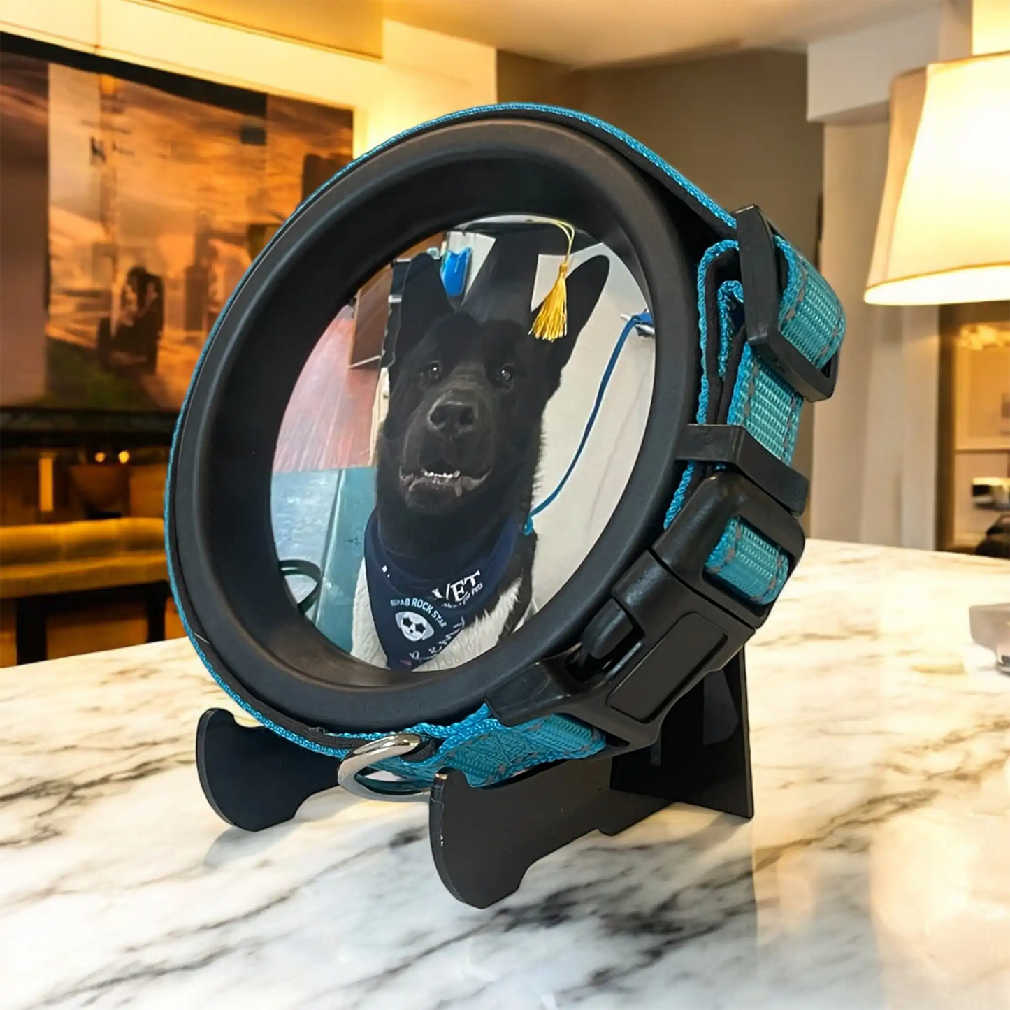 Large Dog Collar Frame | "The Labrador"