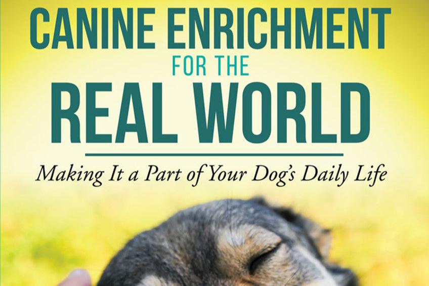 Canine Enrichment for the Real World: Making It a Part of Your Dog’s Daily Life