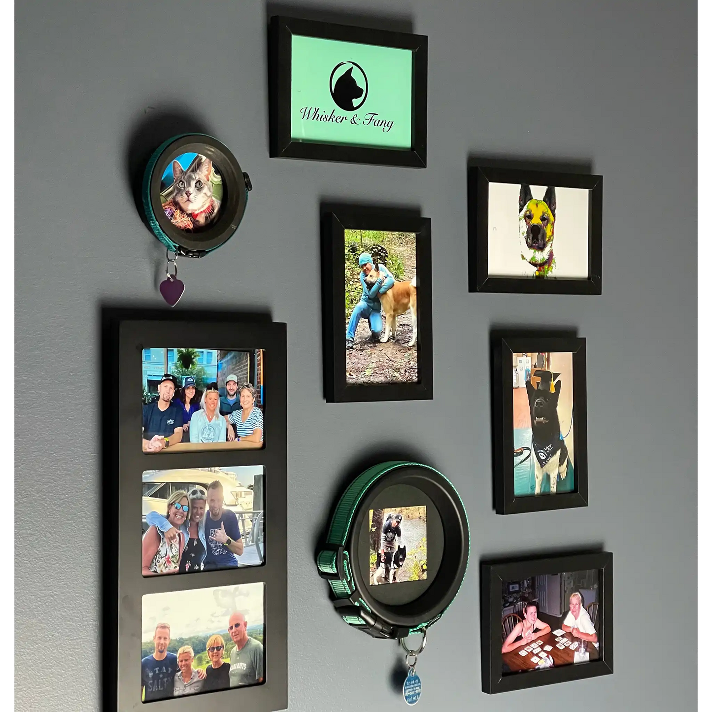 Large Dog Collar Frame | "The Labrador"
