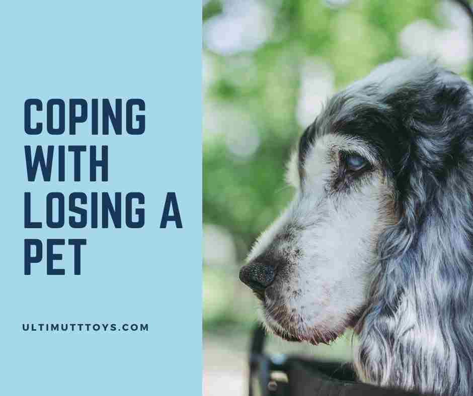 Coping With Losing A Pet