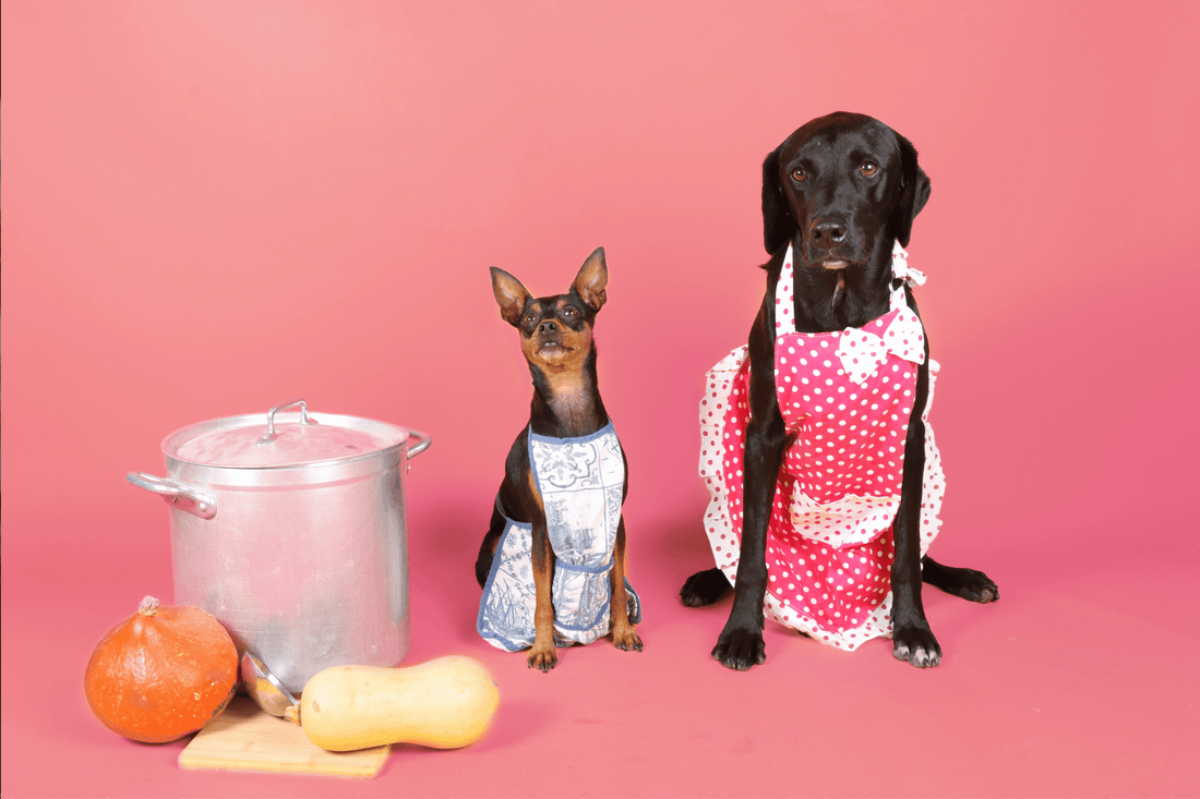 Pie for your pup!