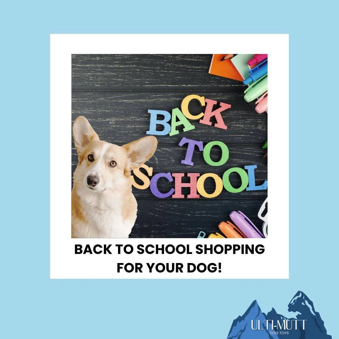 Back to School Shopping for Your Pup - Ulti-Mutt Toys