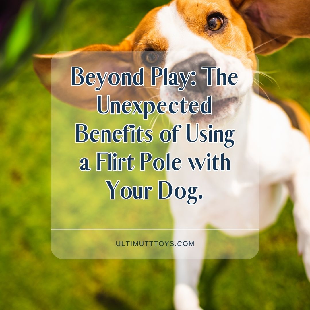 Beyond Play: The Unexpected Benefits of Using a Flirt Pole with Your Dog - Ulti-Mutt Toys