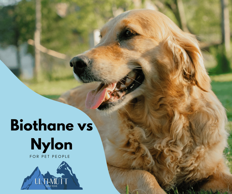 Biothane vs Nylon for Pet Owners - Ulti-Mutt Toys