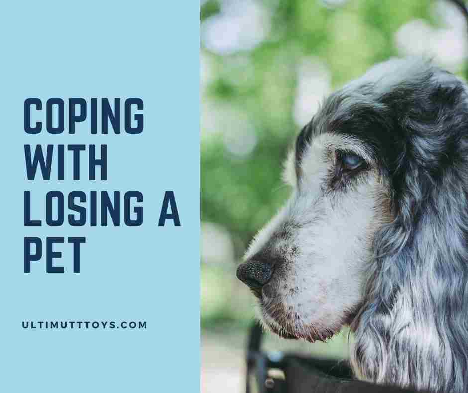 Coping With Losing A Pet - Ulti-Mutt Toys