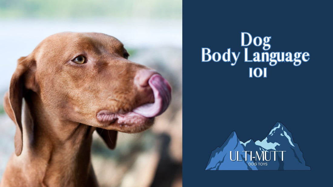 Dog Body Language - Ulti-Mutt Toys