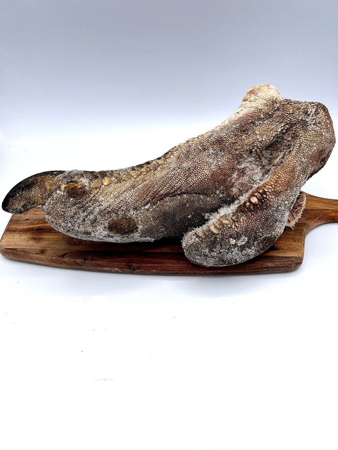 Our Favorite Long Lasting Dog Chews - Ulti-Mutt Toys