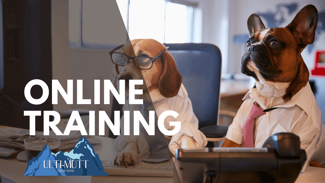 Unlock Your Dog's Potential: Why Virtual Training is a Game-Changer for Behavior and Manners - Ulti-Mutt Toys