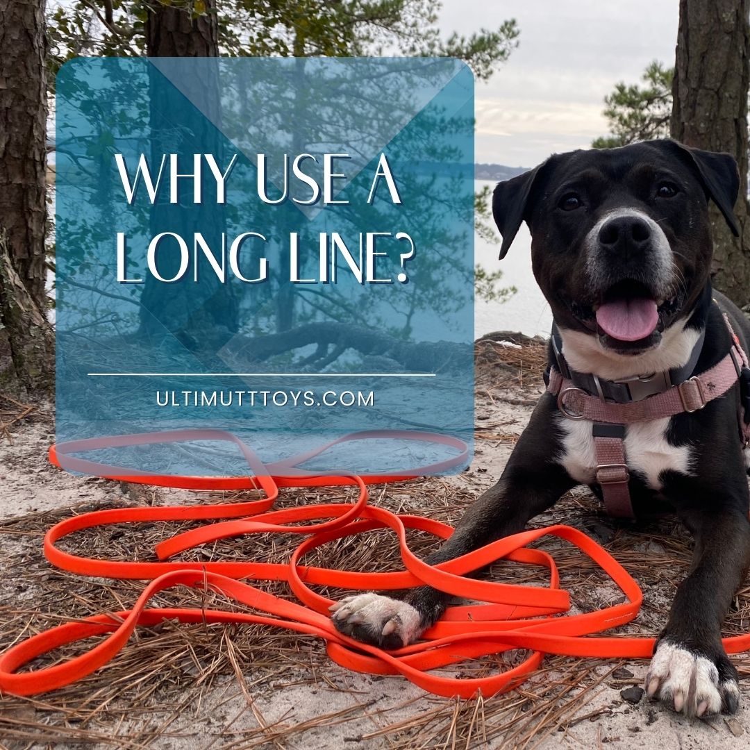 Why Use A Long Line - Ulti-Mutt Toys