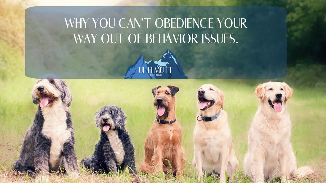 Why You Can't Obedience Your Way Out Of Behavior Problems - Ulti-Mutt Toys