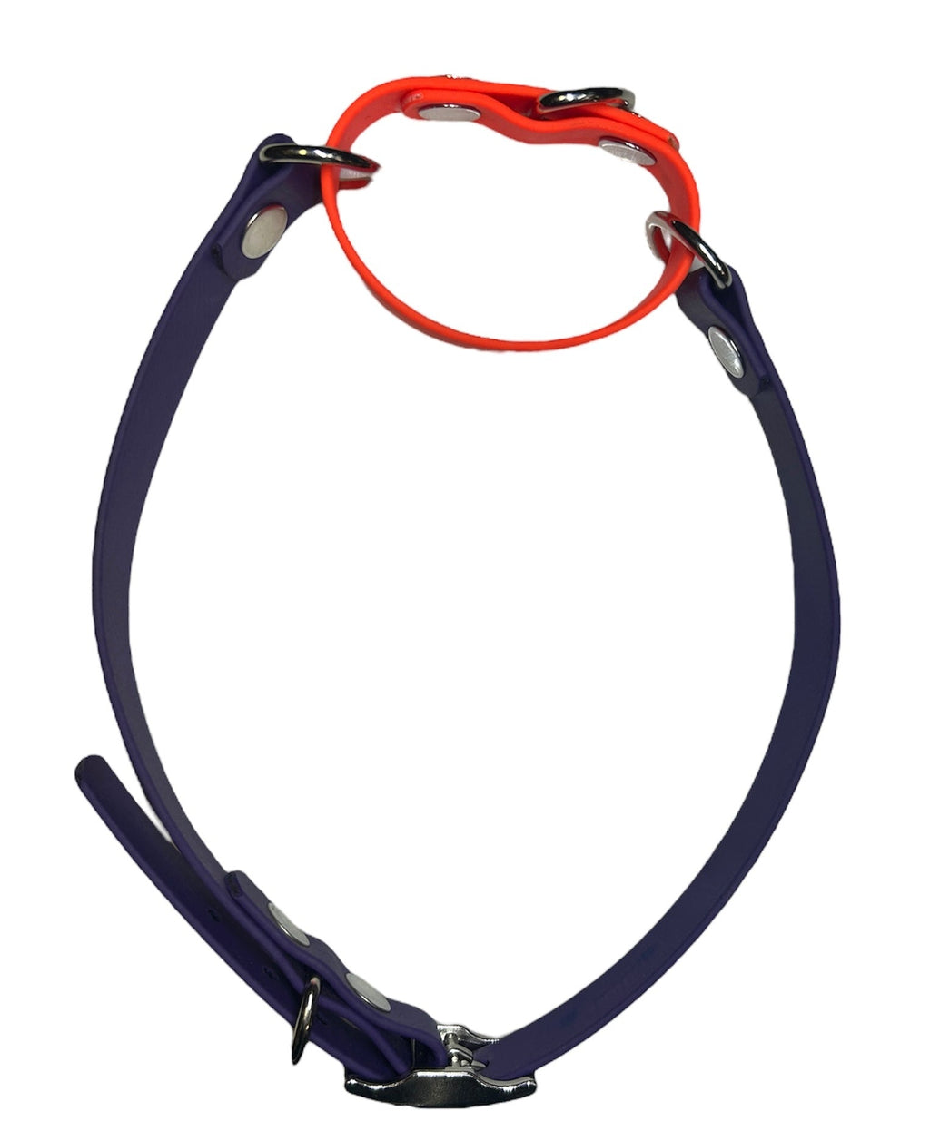 1 inch Martingale Collar - Ulti - Mutt Toys
