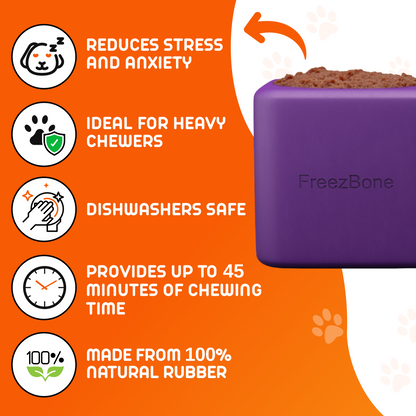 Freezbox - Super Tough Treat Toy