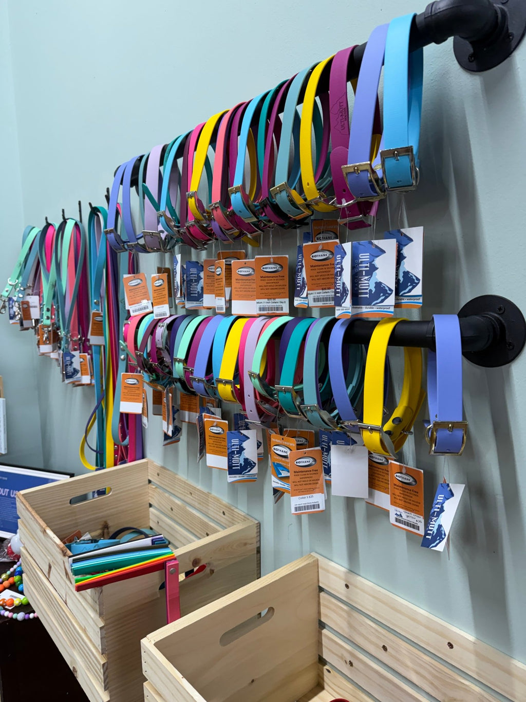 2 rows of hanign 3/4 in Flat Collars in spring colors - Ulti - Mutt Toys