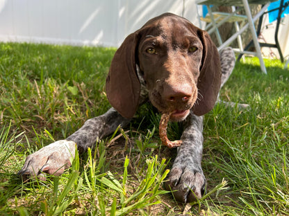 Organically Fed Quail Crunch Sticks and Legs - Healthy and Delicious Treat for Pets
