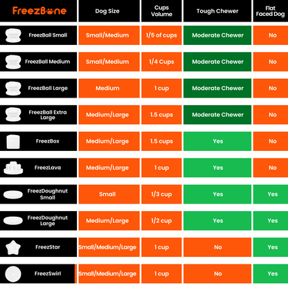 Freezbox - Super Tough Treat Toy