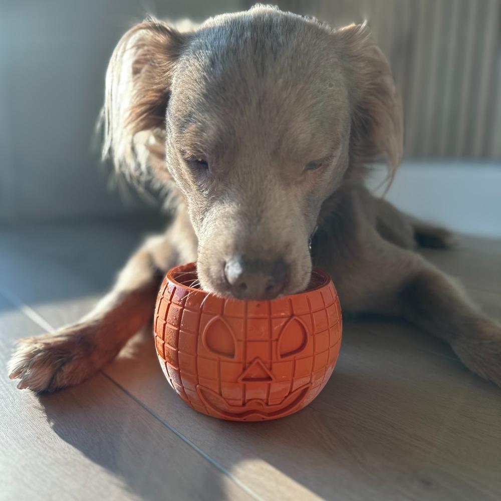 FreezPumpkin Dog Toy - Fun & Durable Pumpkin Enrichment Chew For Moderate Chewers
