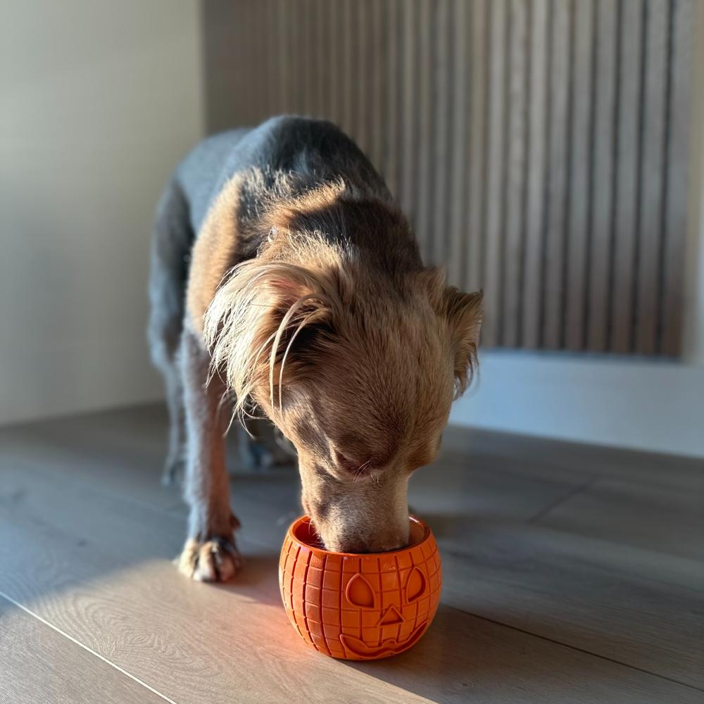 FreezPumpkin Dog Toy - Fun & Durable Pumpkin Enrichment Chew For Moderate Chewers