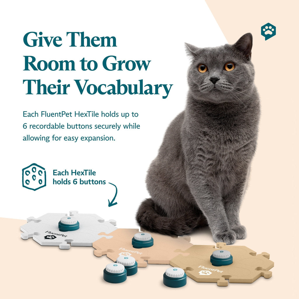 Fluent Pet Get Started Kit Beige