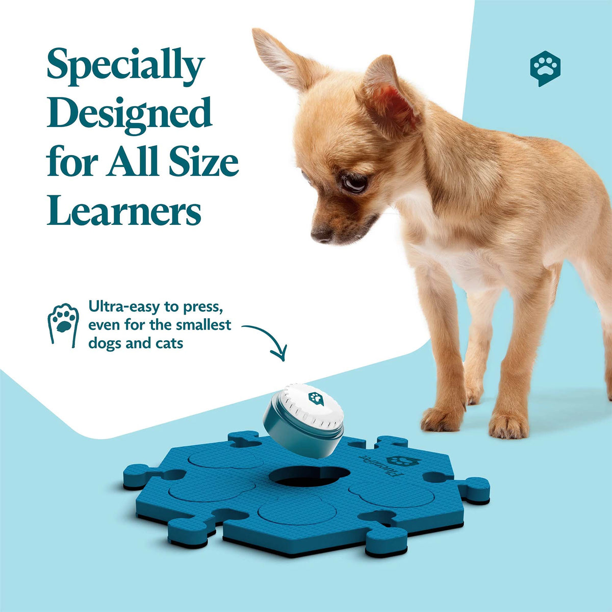 Fluent Pet Get Started Kit Bold