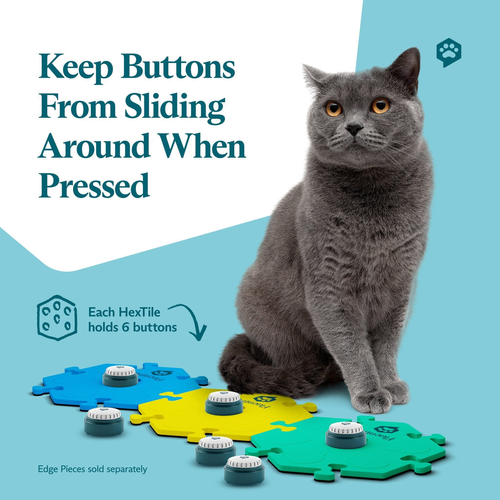 Fluent Pet Get Started Kit Bold