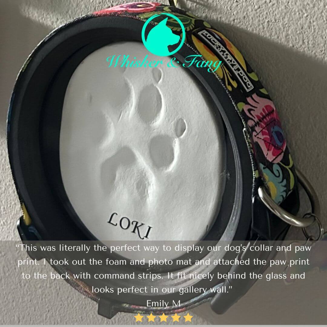 Large Dog Collar Frame and Stand Bundle | "The Labrador"