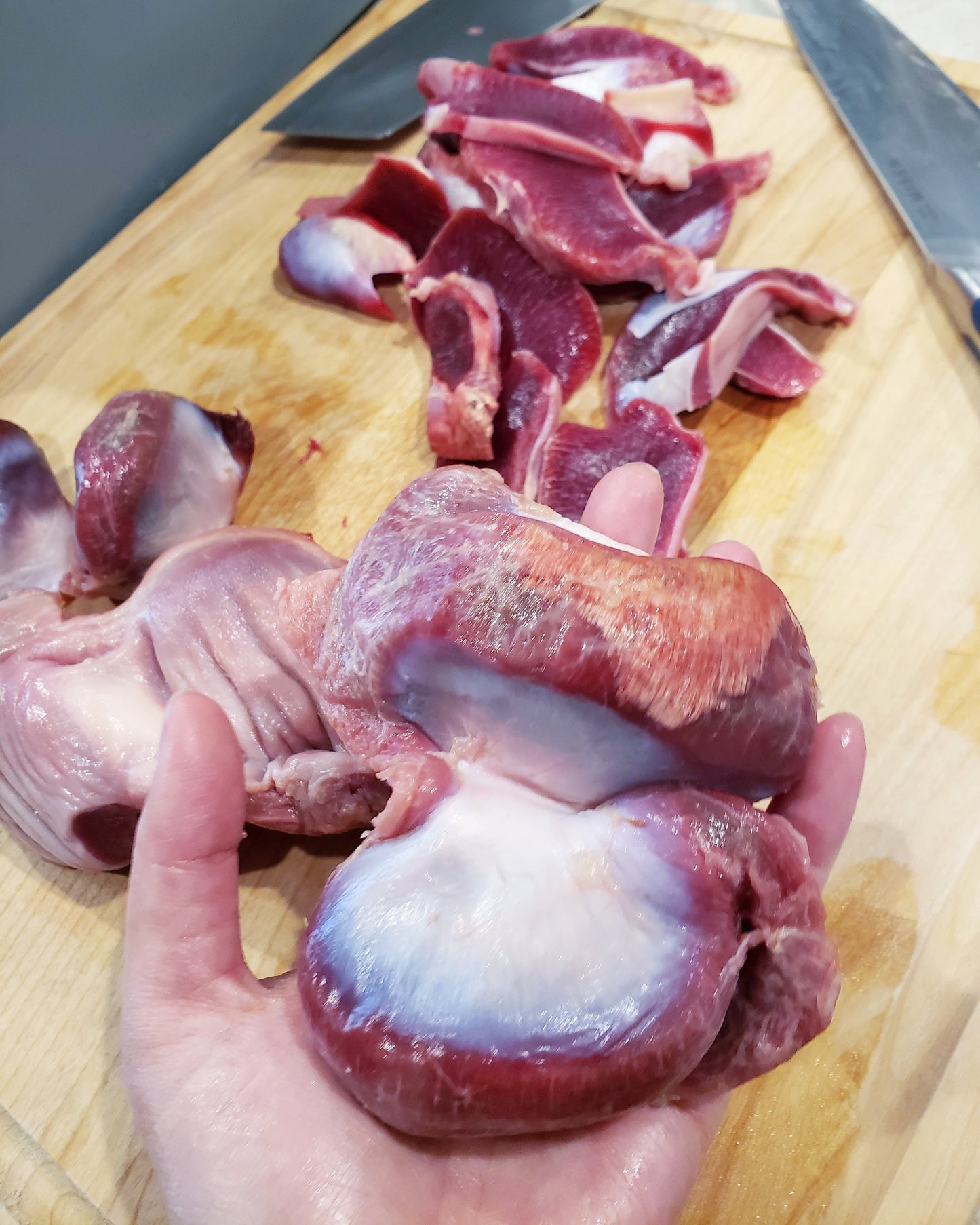 Turkey Gizzard (ABF) - Thin Cut