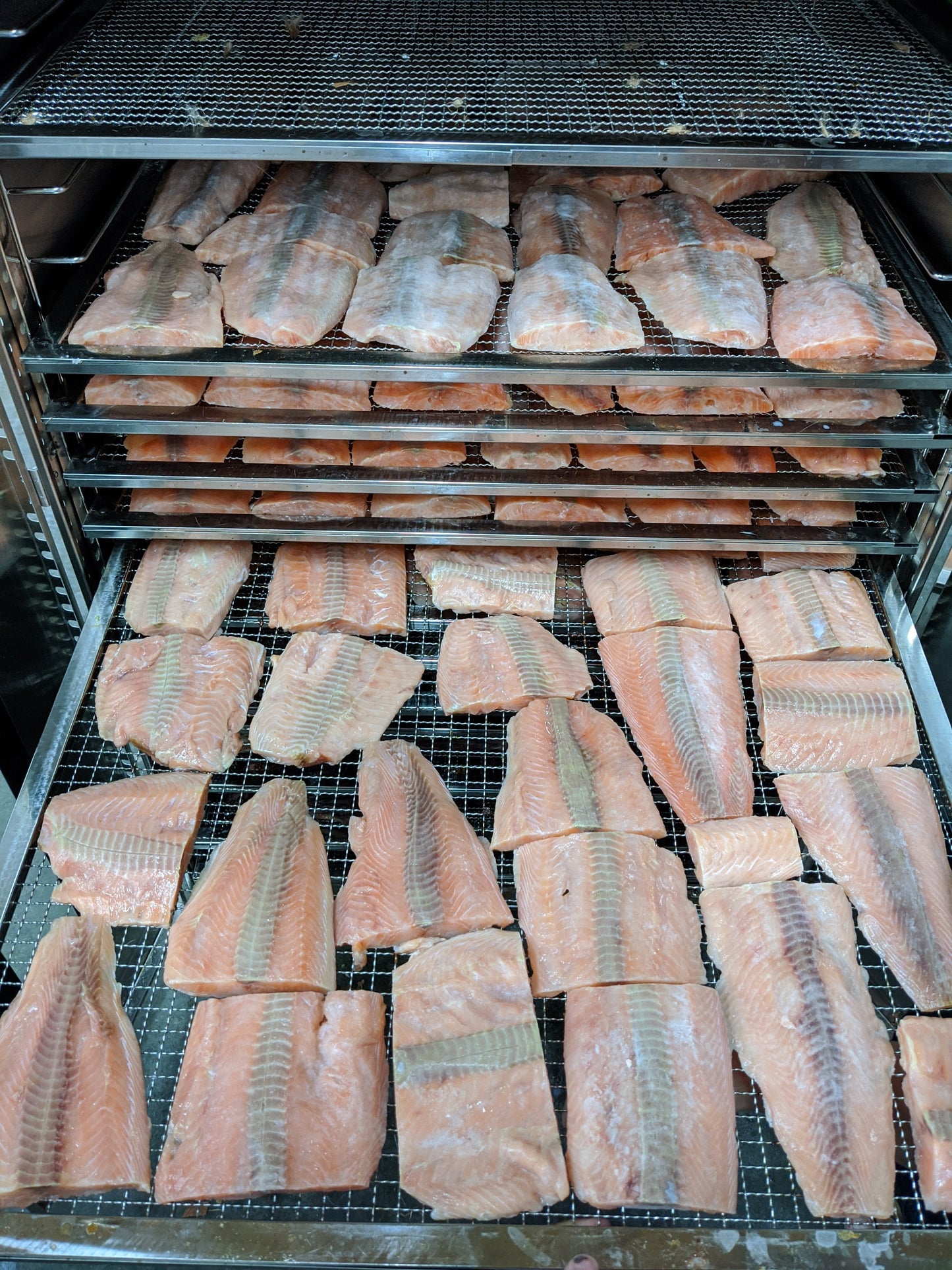 Salmon Fillet (Wild Caught)(+Freeze Dried Options)