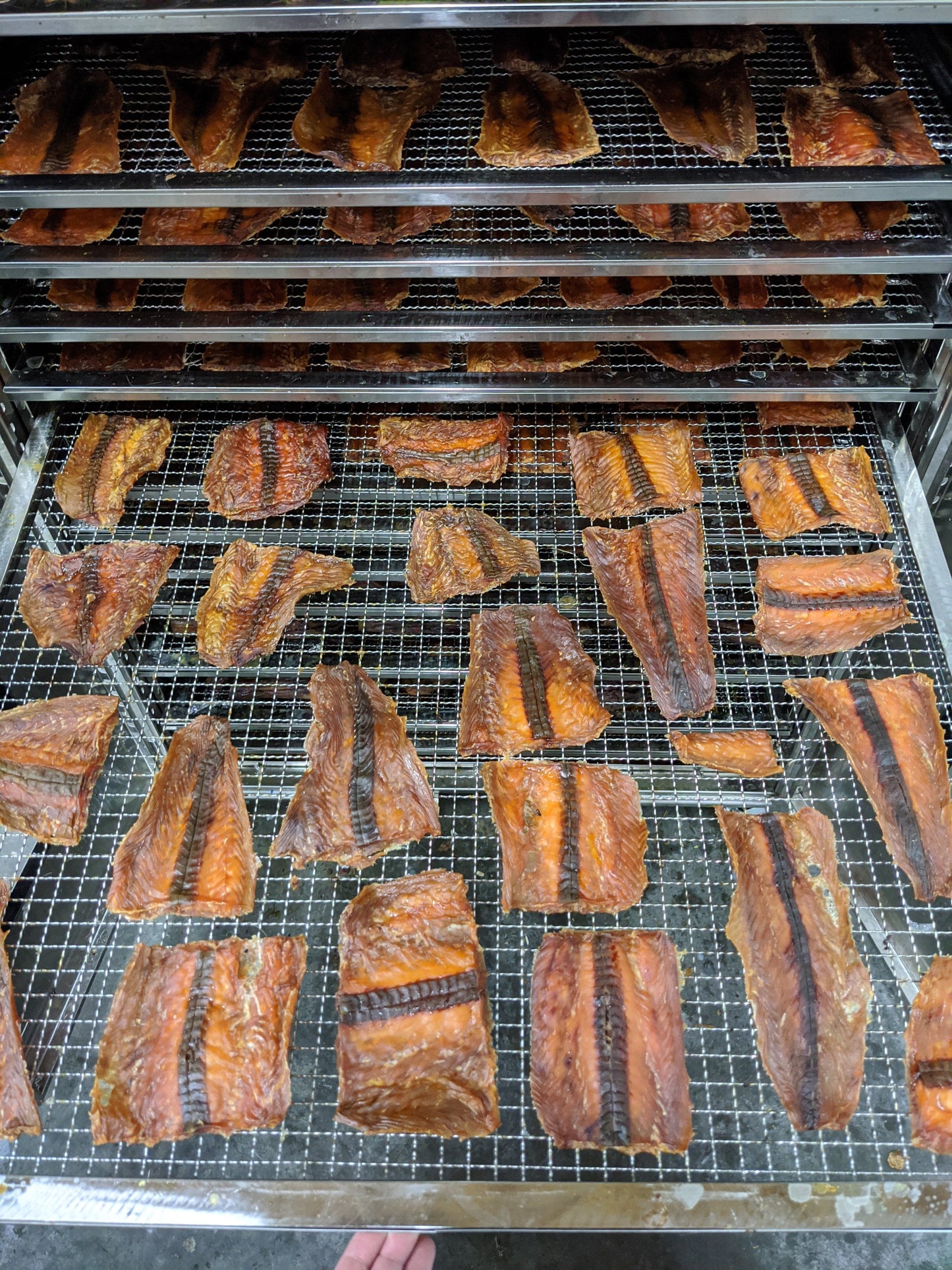 Salmon Fillet (Wild Caught)(+Freeze Dried Options)