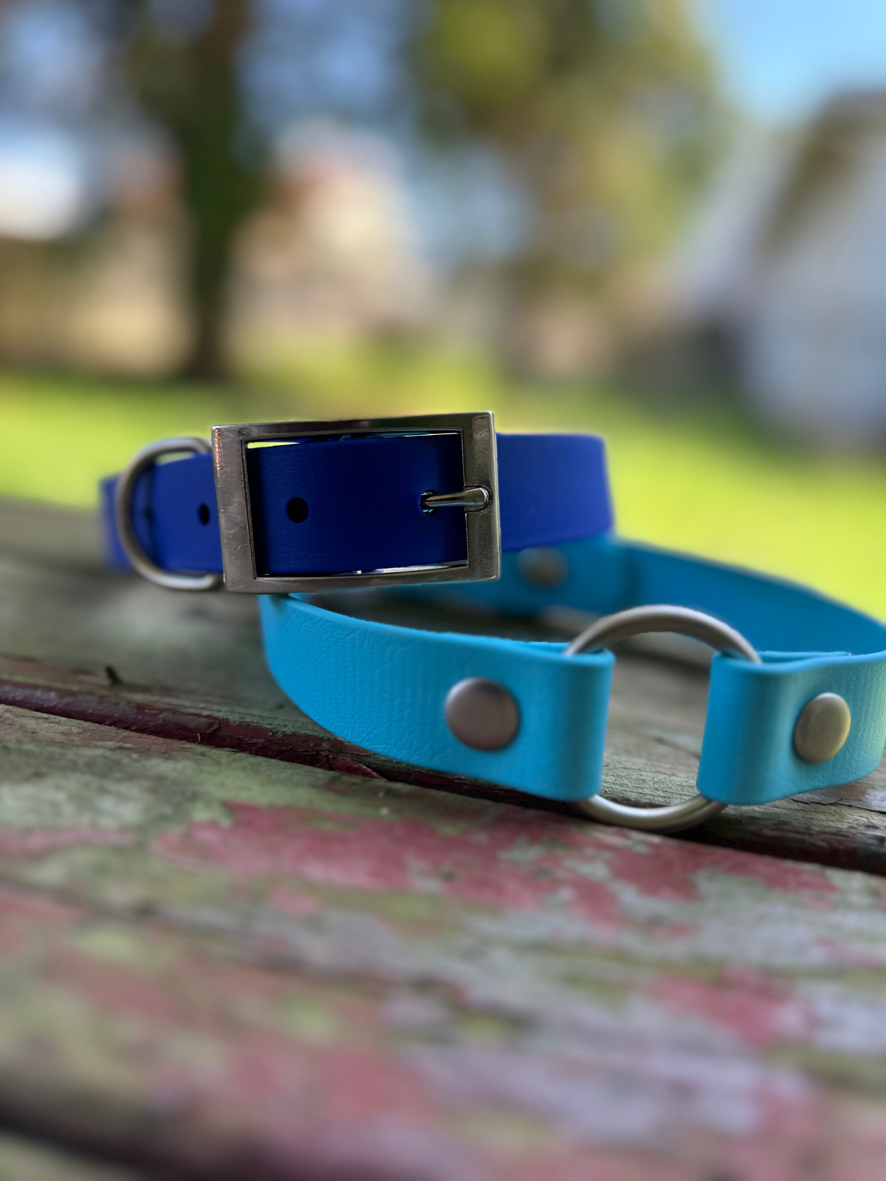 sport collars from ulti-mutt toys