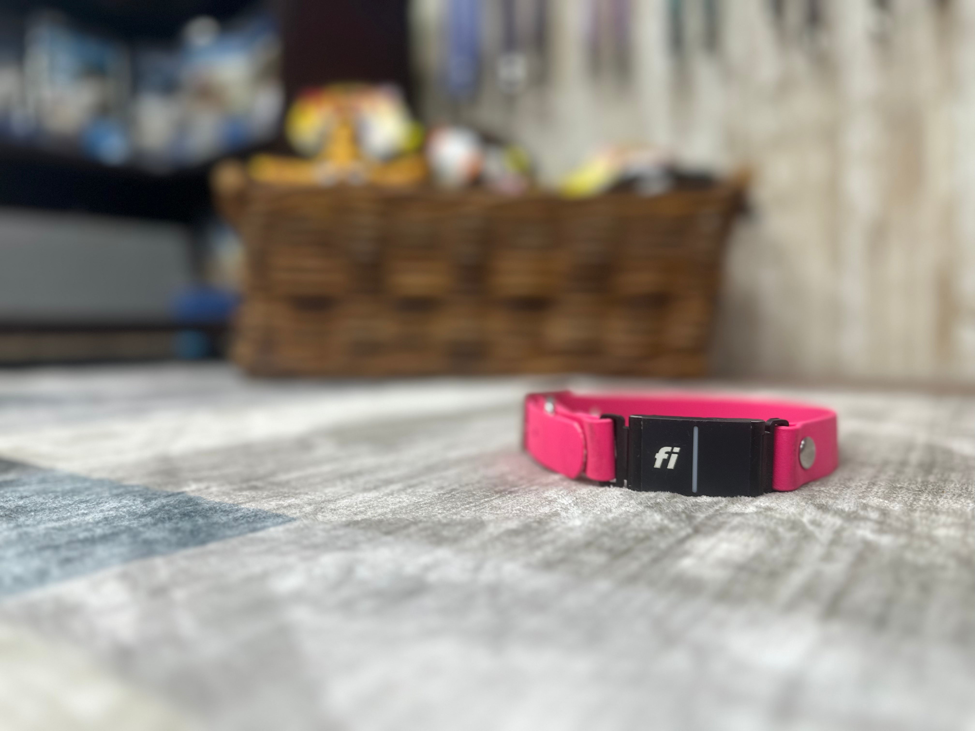 Biothane 1 Inch Biothane Fi Collar - 1 inch made to order pick your color – Ulti-Mutt Toys