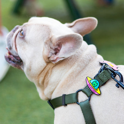 UFO Dog Jiby