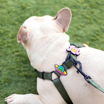 UFO Dog Jiby