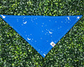 Stargazer Bandana