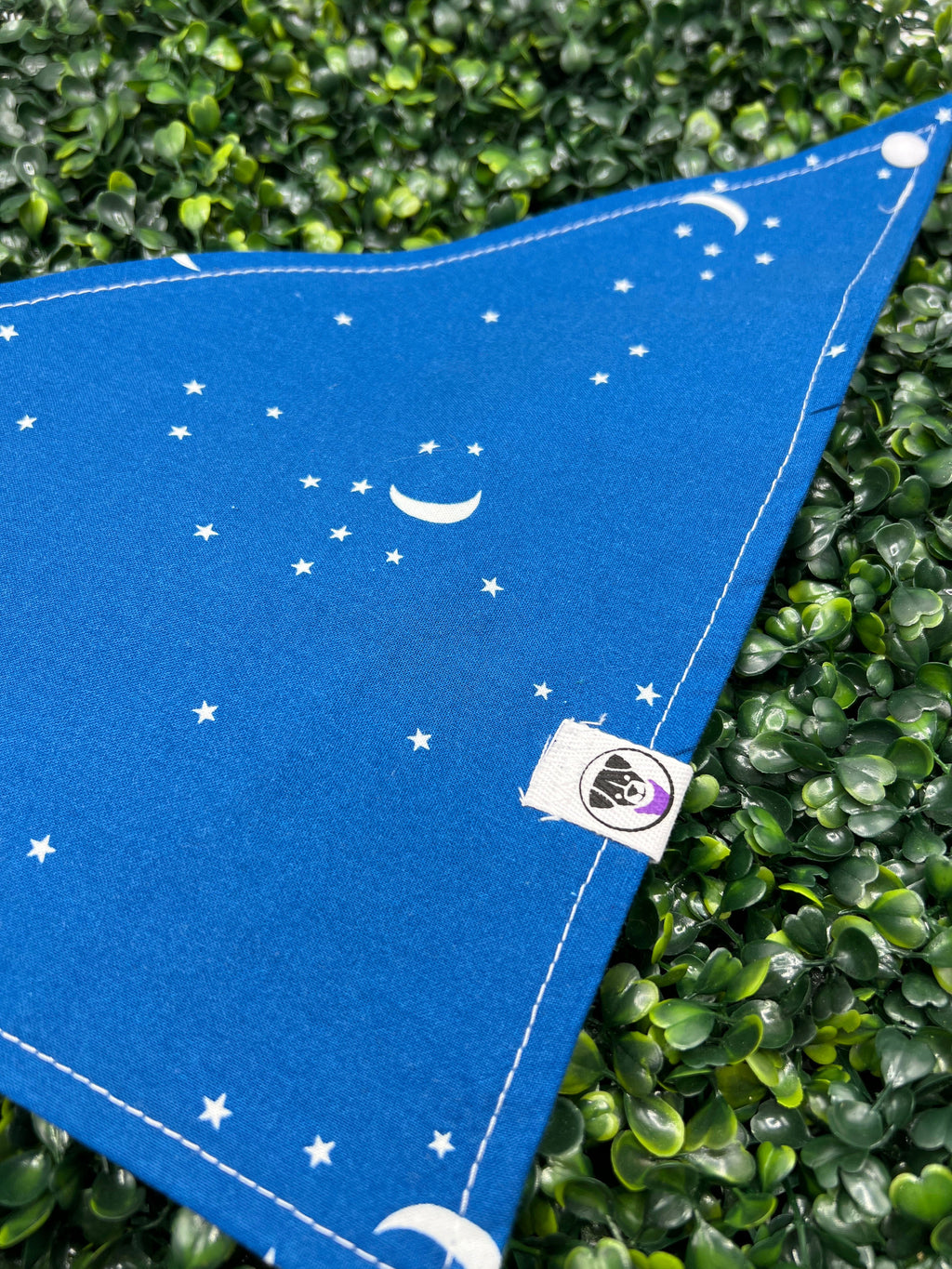 Stargazer Bandana