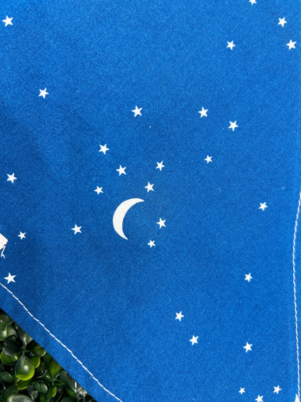 Stargazer Bandana