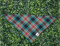 Teal and Red Flannel Bandana