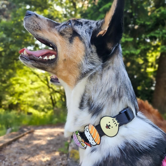 Sushi Dog Jiby