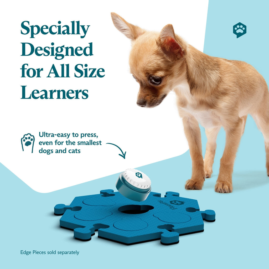 Fluent Pet Key Vocab Kit Bold
